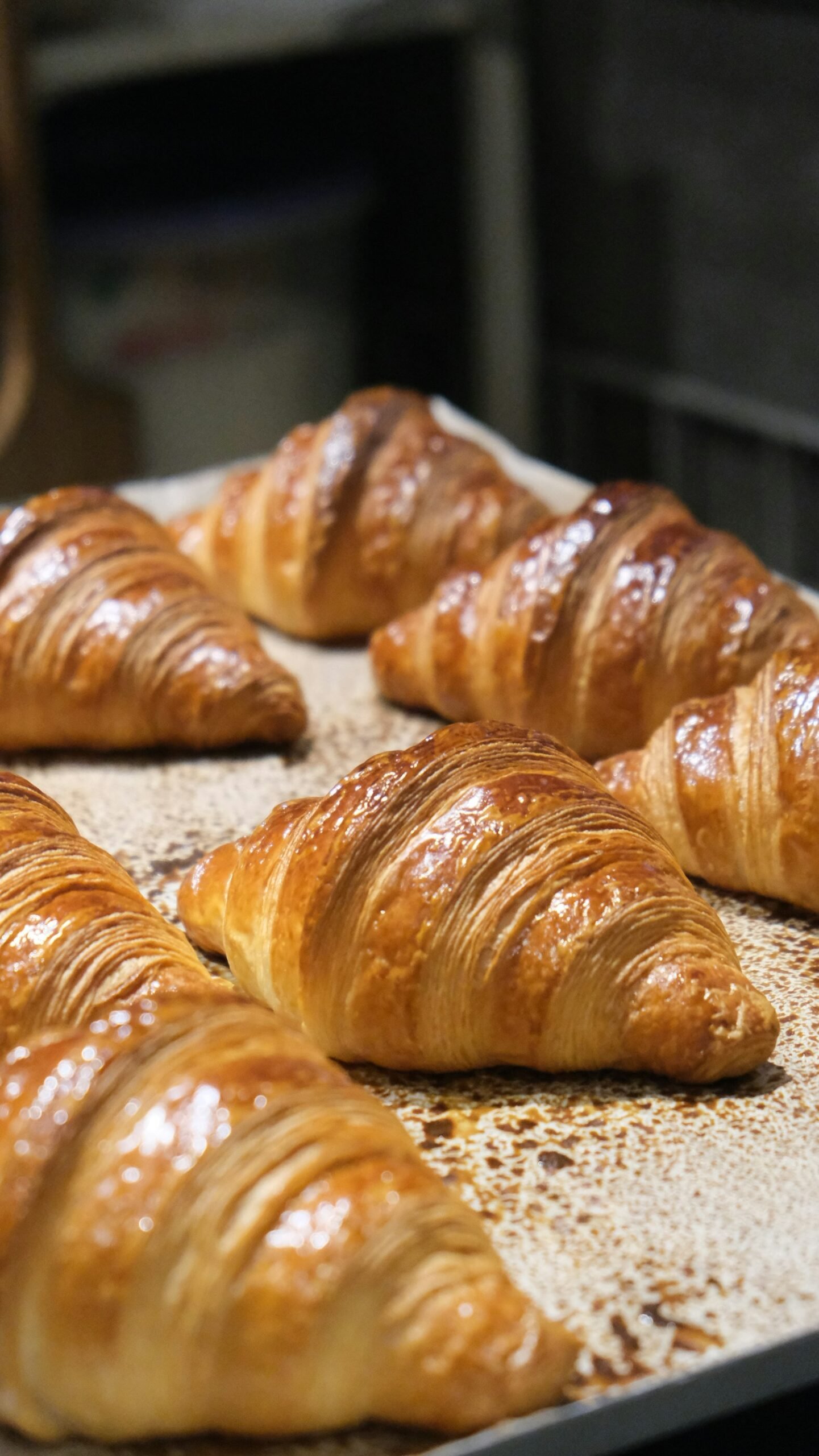 Ilustrasi croissant untuk demo toko roti
